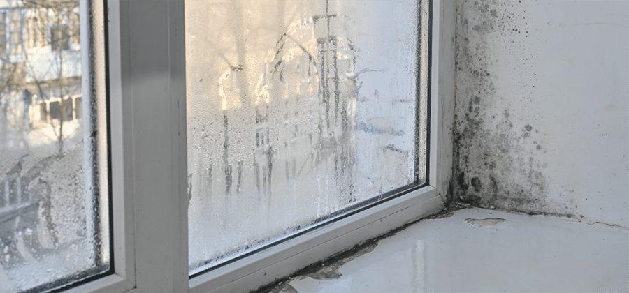 A window with condensation on the glass and visible black mold growing on the wall and windowsill in the corner, highlighting the need for professional commercial restoration services.